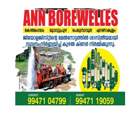 Ann Borewells