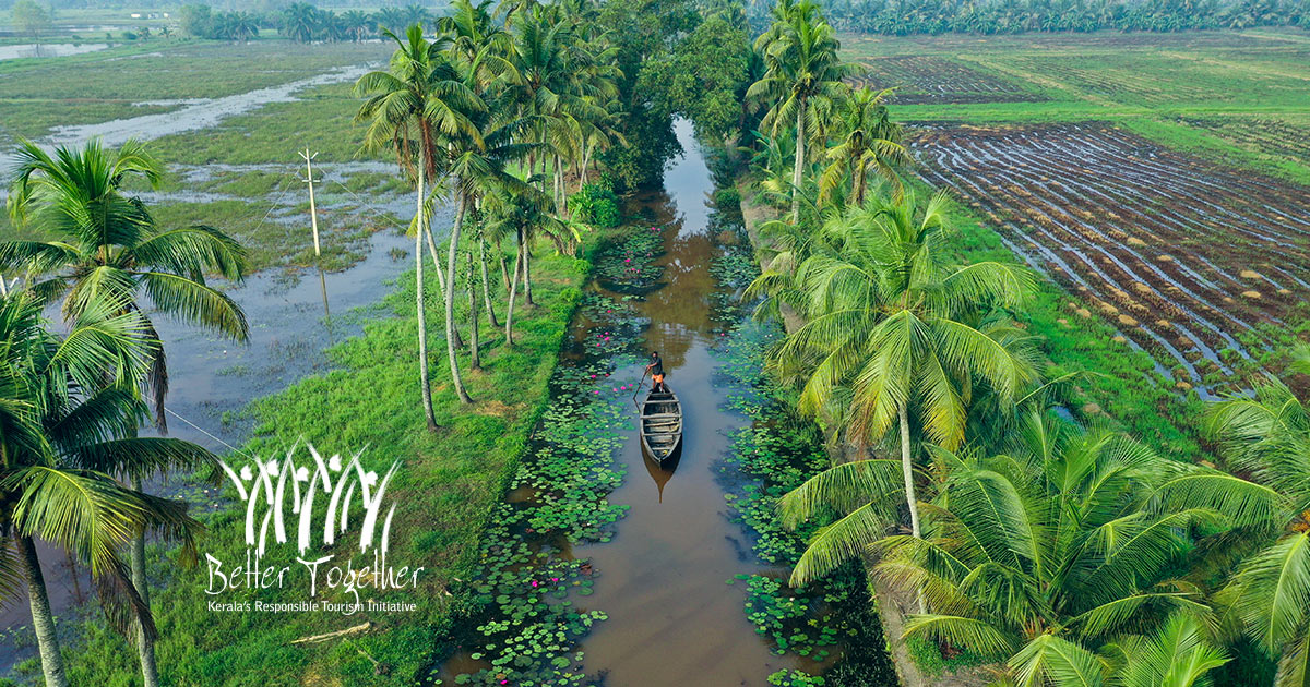 Amballoor Ernakulam pics 