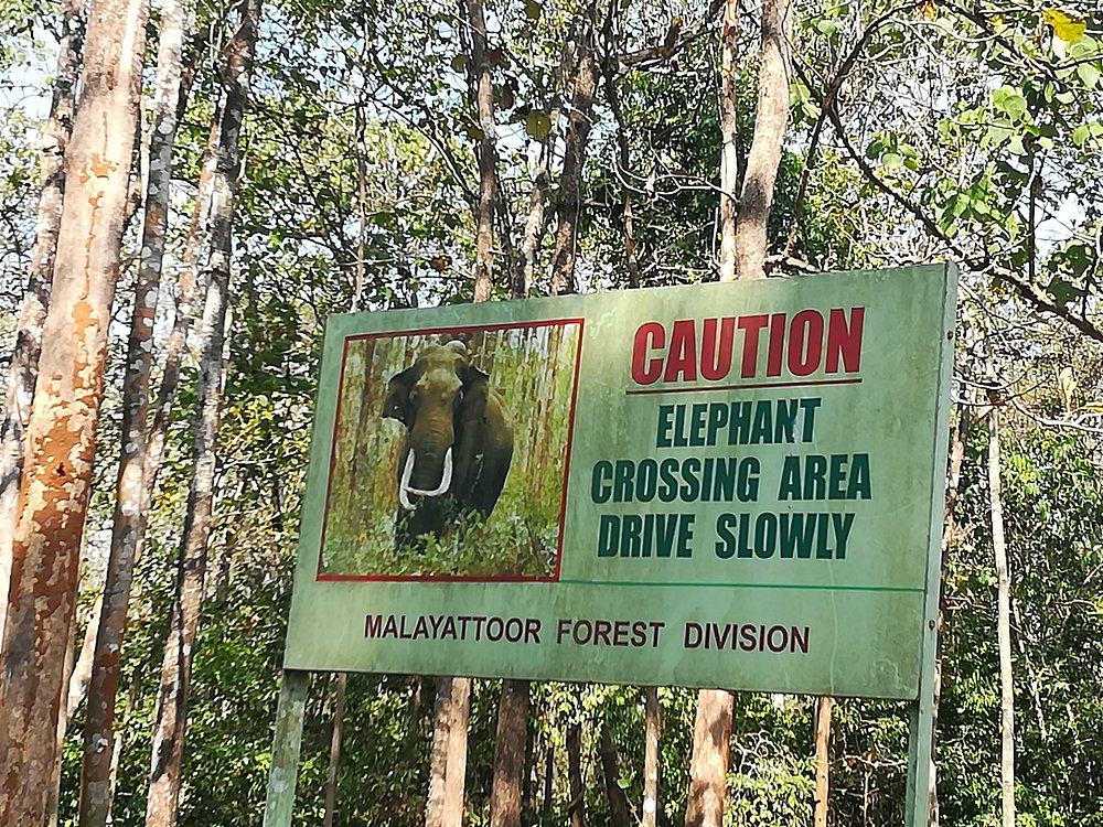 Illithodu forest Ernakulam