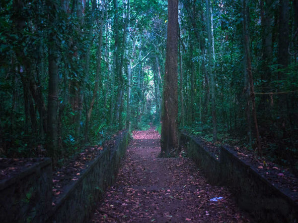 Iringole Kavu Ernakulam