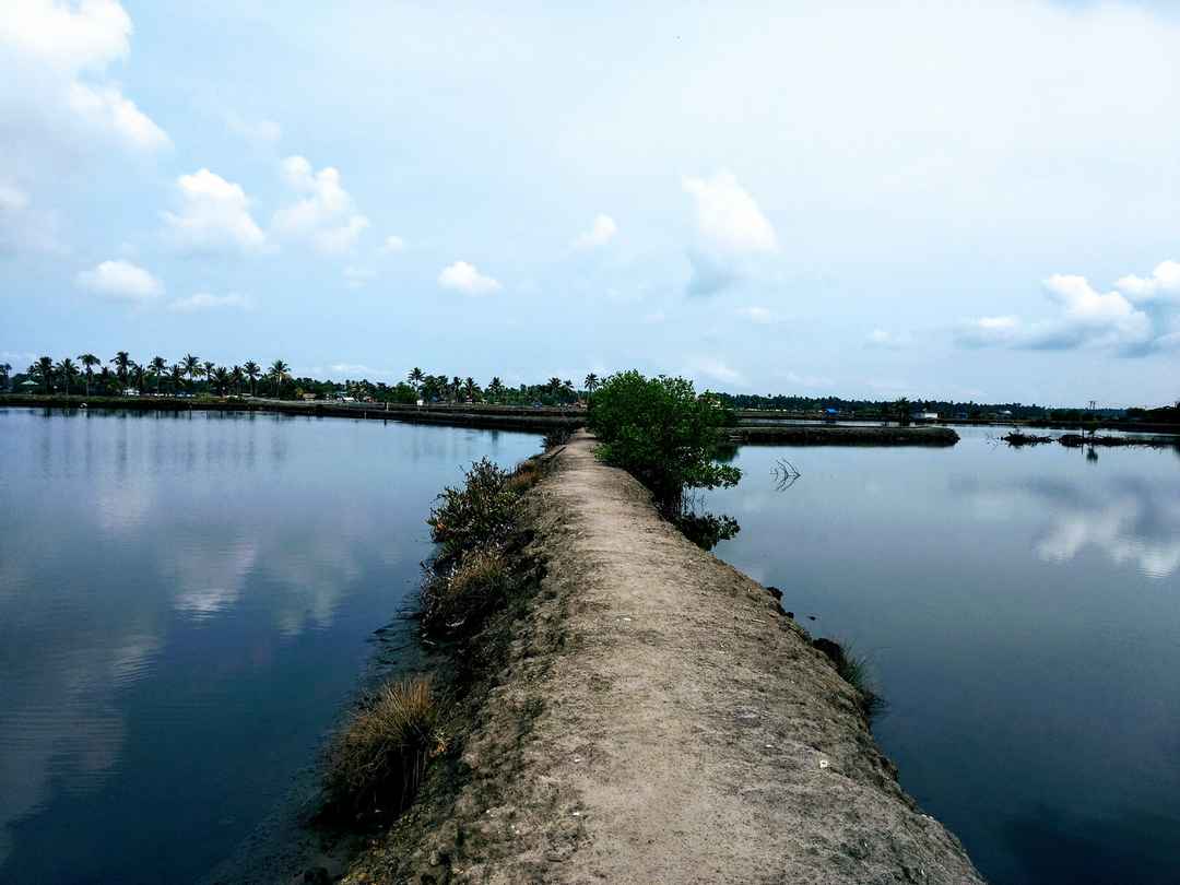 Kadamakkudi Ernakulam