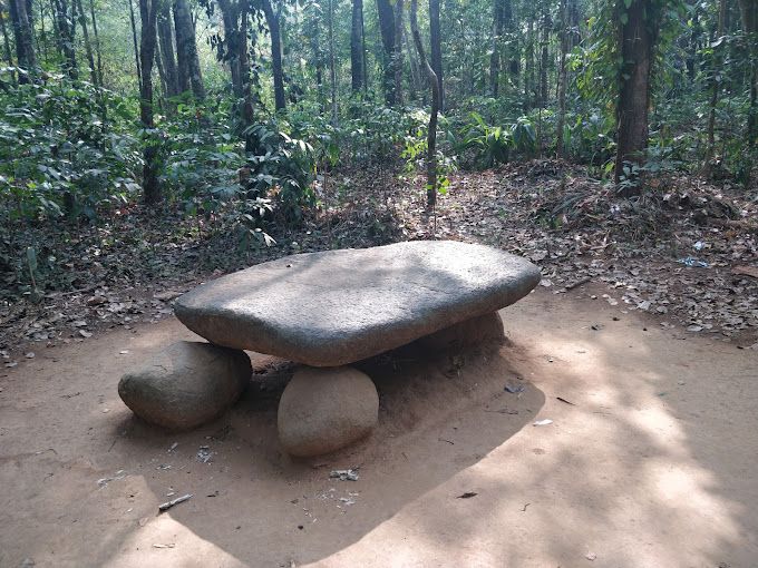 Kodanand Elephant Training Centre Ernakulam