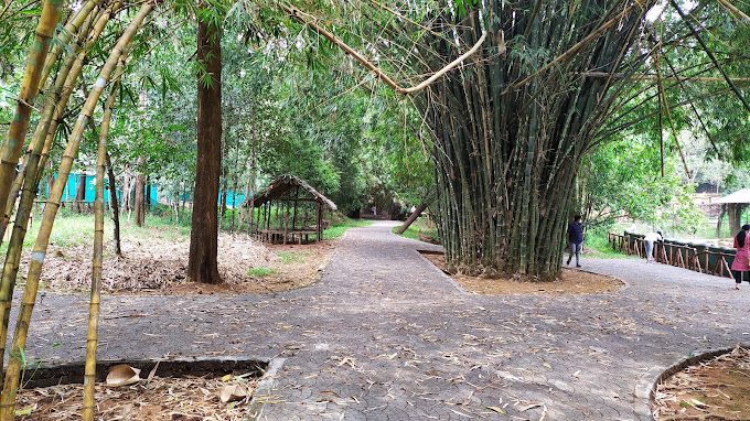 Kodanand Elephant Training Centre 