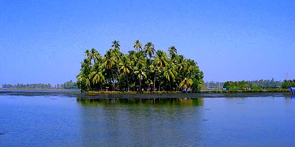 Kumbalanagi Ernakulam pics 