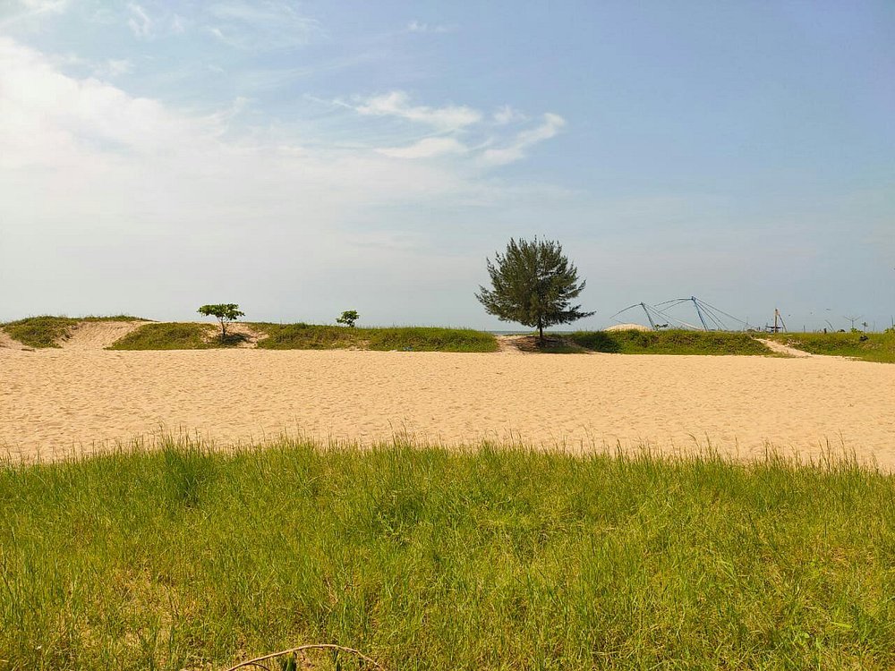  Munambam Beach images 