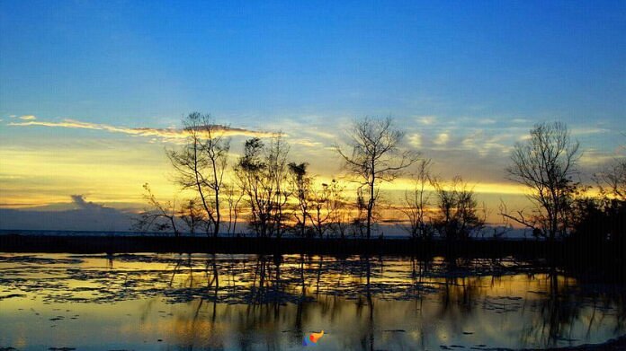 Beaches in Ernakulam