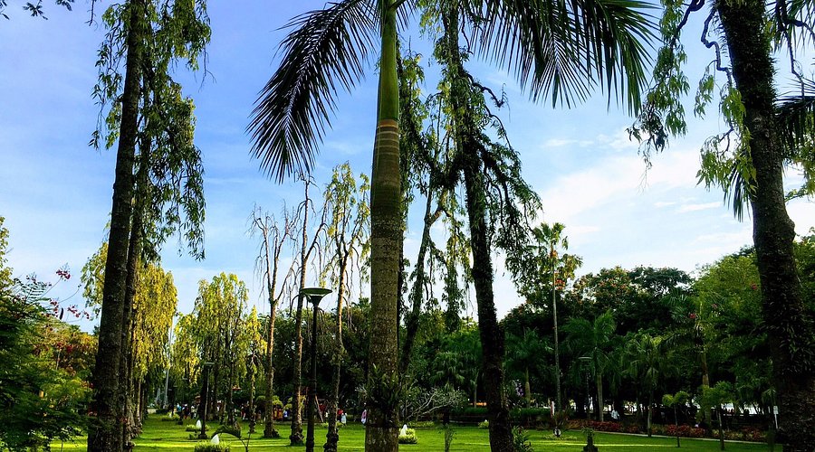 Subhash Park Ernakulam  
