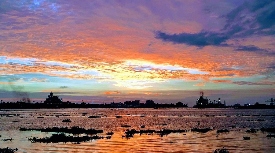 Subhash Park 