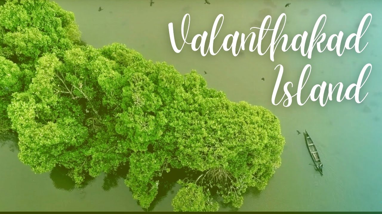 Valanthakad Island Ernakulam pics 