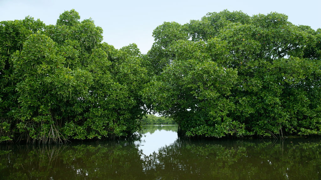 Valanthakad Island